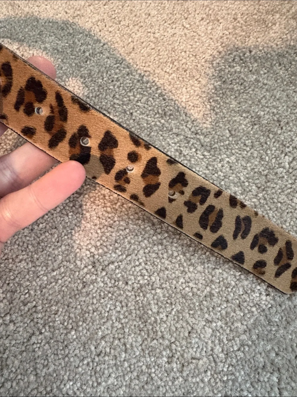 J. Crew Leopard Print Leather Belt in Tan and Black with Gold Buckle - Picture 4 of 7